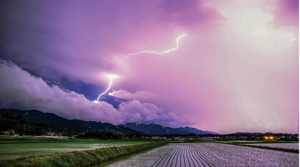 稲妻産業株式会社の社名の由来について